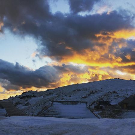 Chalet Gasparjeva Velika Planina カムニーク エクステリア 写真