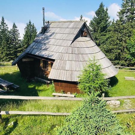 Chalet Gasparjeva Velika Planina カムニーク エクステリア 写真