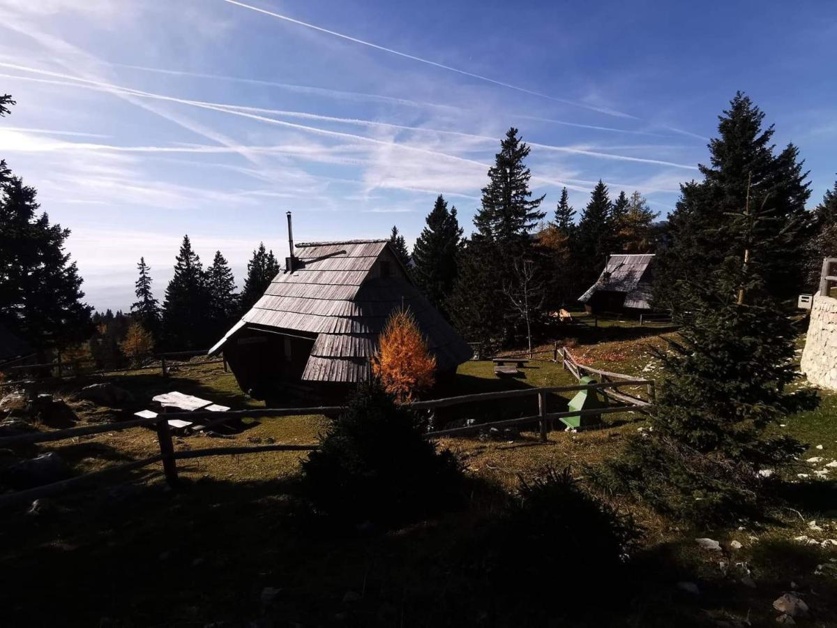 Chalet Gasparjeva Velika Planina カムニーク エクステリア 写真